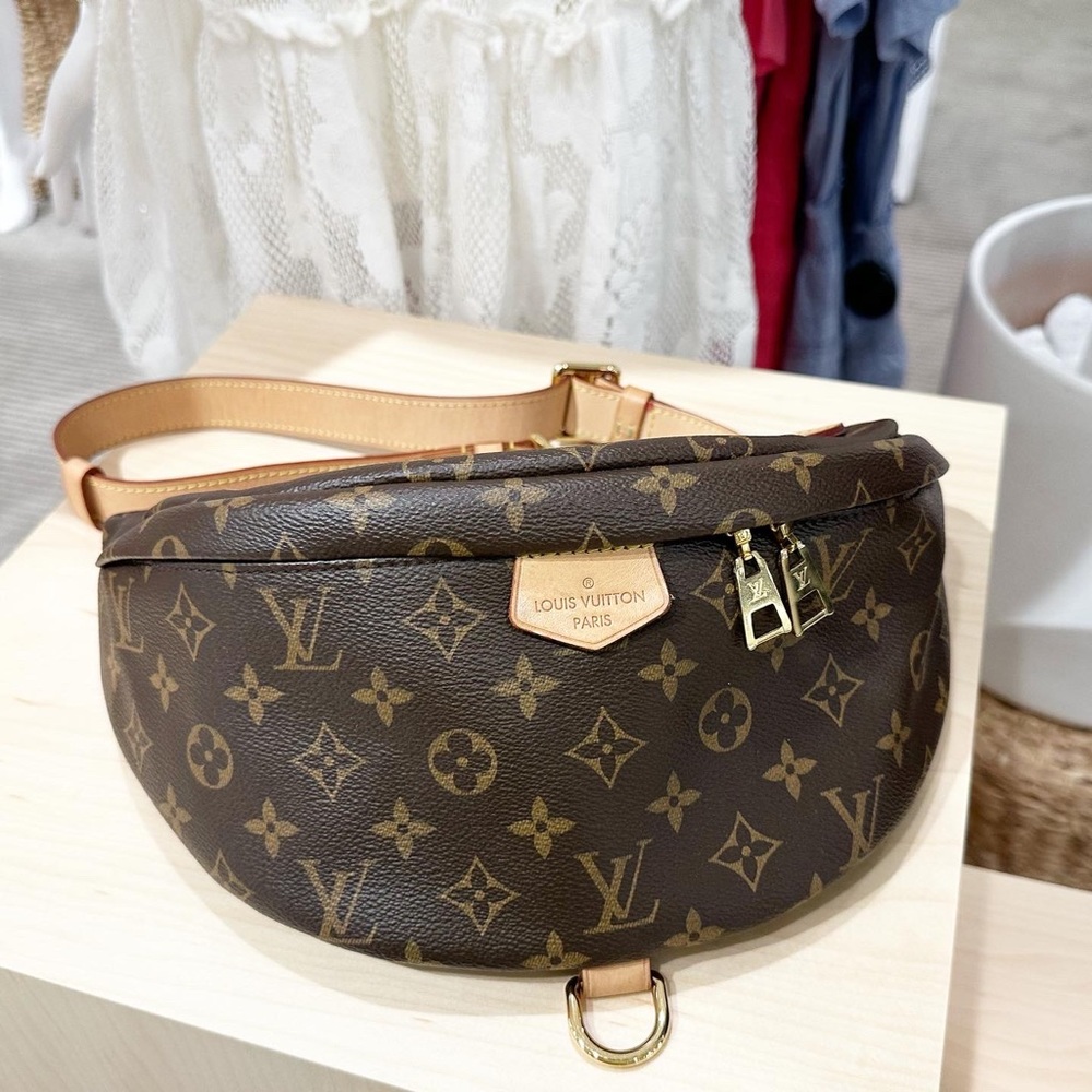 Louis Vuitton Monogram Bumbag - Picture 5 of 16